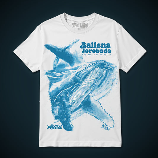 Ballena Jorobada - Blanca